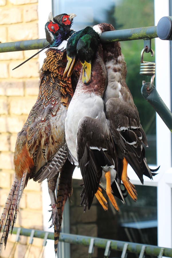 Game birds